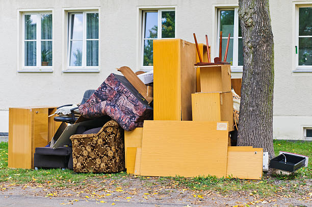 Best Basement Cleanout  in Junction City, CA